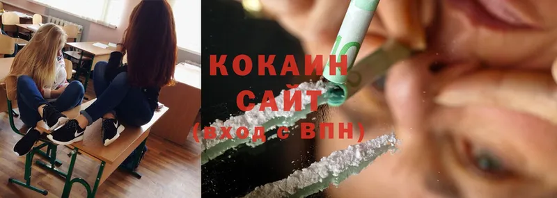 COCAIN Fish Scale  как найти наркотики  Кингисепп 